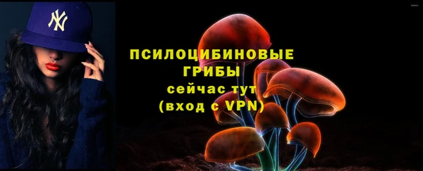эйфоретик Коряжма