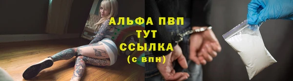 молекула духа Богданович