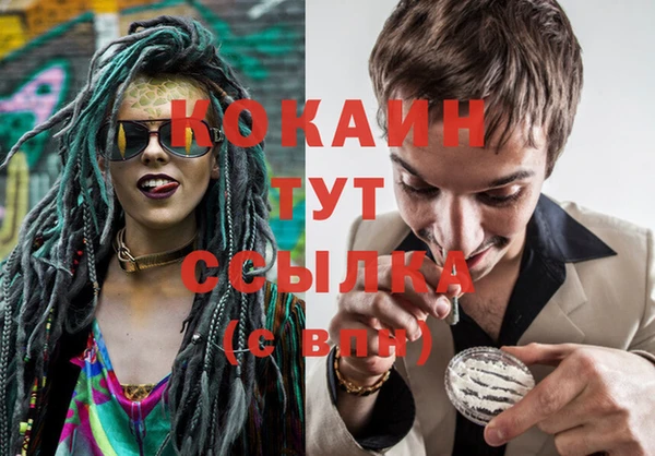 дживик Кулебаки