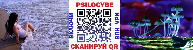 купить закладку  Брюховецкая  Галлюциногенные грибы Magic Shrooms 